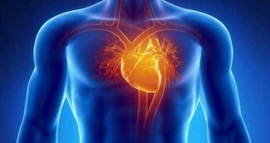 10 things that happen during a heart attack ...