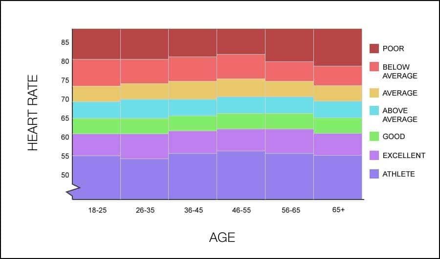 Average Resting Heart Rate by Age: Why It Important For You