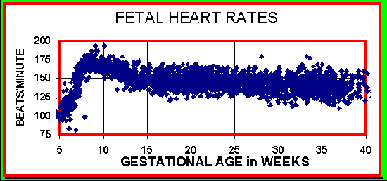 Babies heart rates 7 weeks. â The Bump