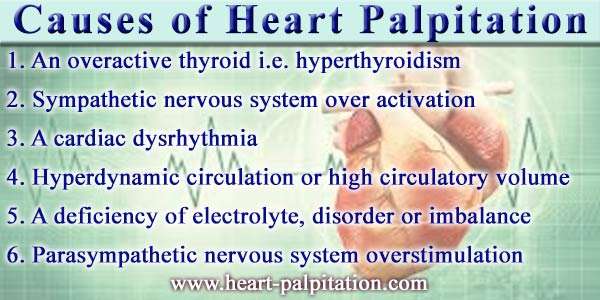 Causes of Heart Palpitation