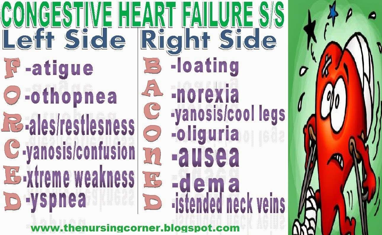 CONGESTIVE HEART FAILURE SIGNS AND SYMPTOMS MNEMONIC ~ THE ...
