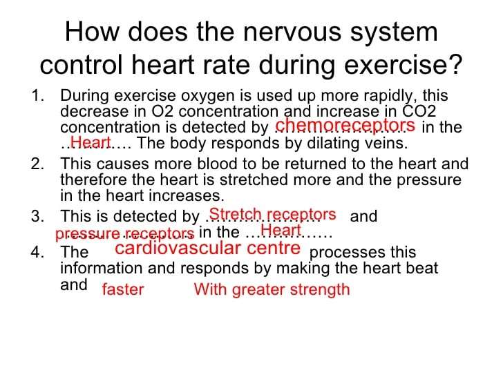 Control of heart rate