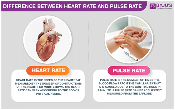Difference Between Heart Rate and Pulse Rate are explained ...