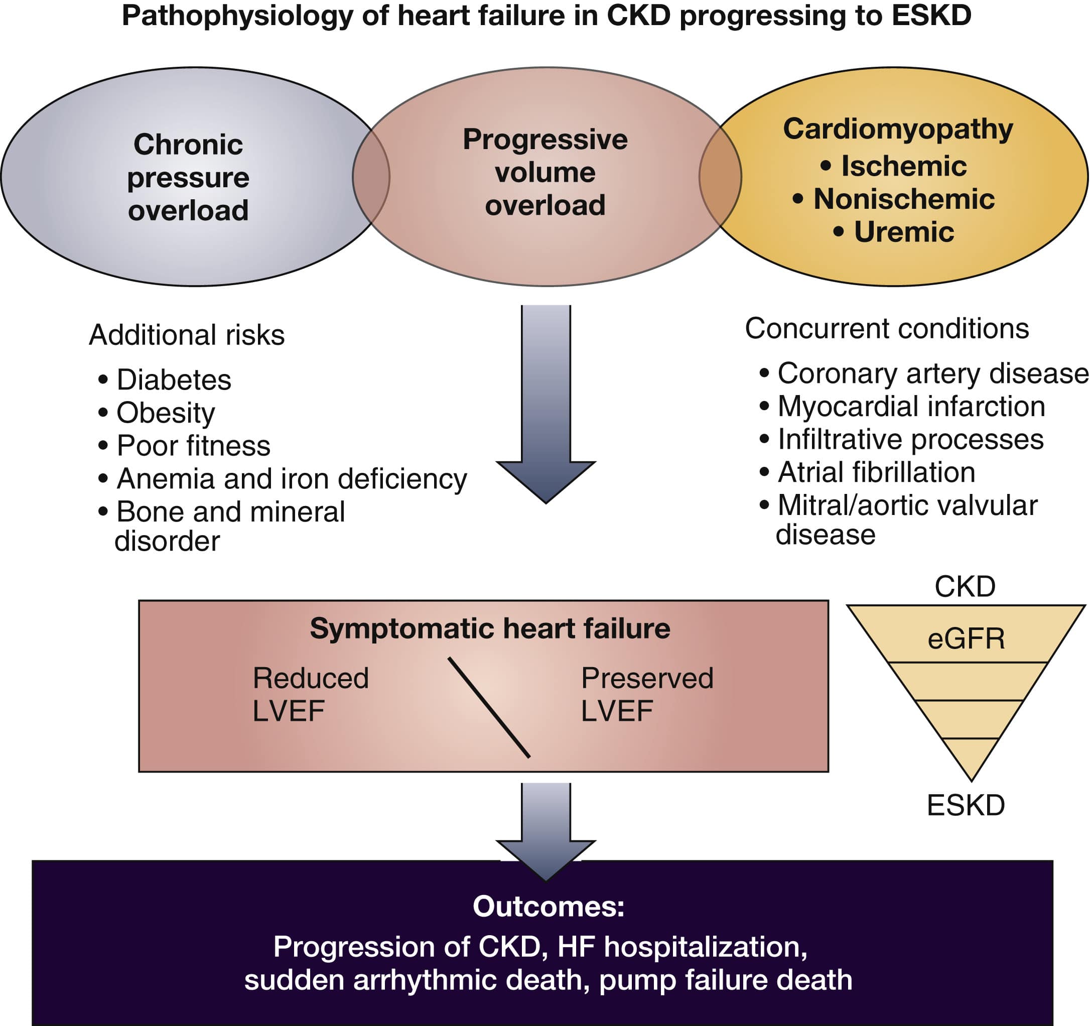 Heart failure in chronic kidney disease: conclusions from a Kidney ...