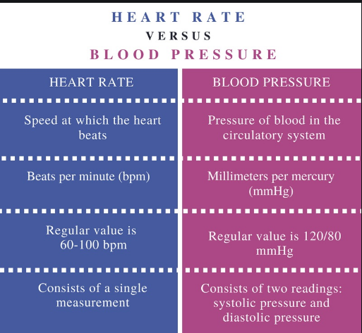 Heart Pulse Rate And Blood Pressure