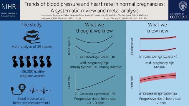 Heart rate and blood pressure changes during pregnancy are ...