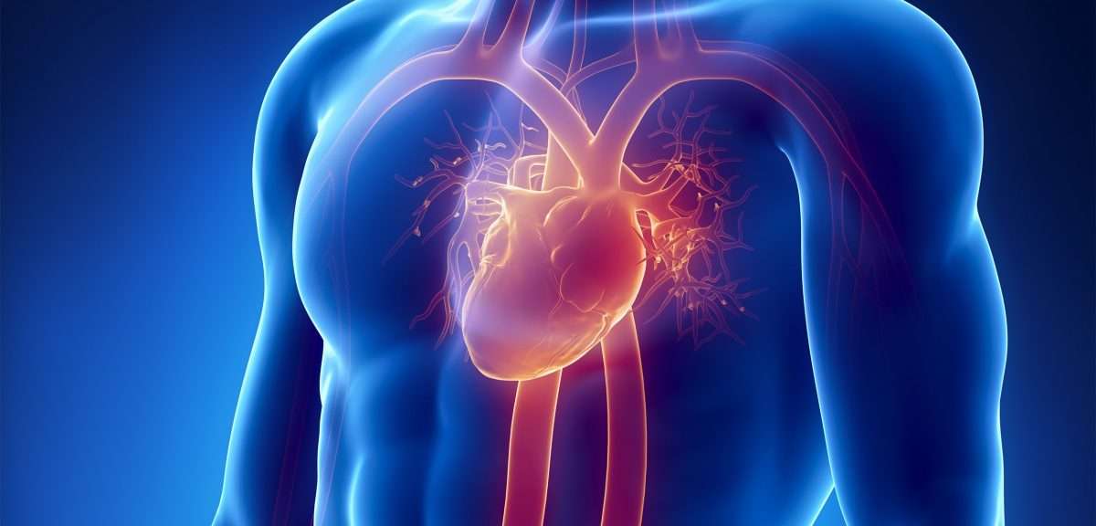 Heart Valve Replacement Surgery
