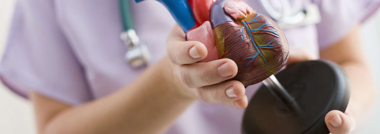 Heartburn VS Heart Attack Comparisons