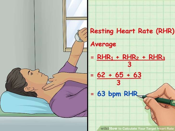 How to Calculate Your Target Heart Rate: 9 Steps (with ...