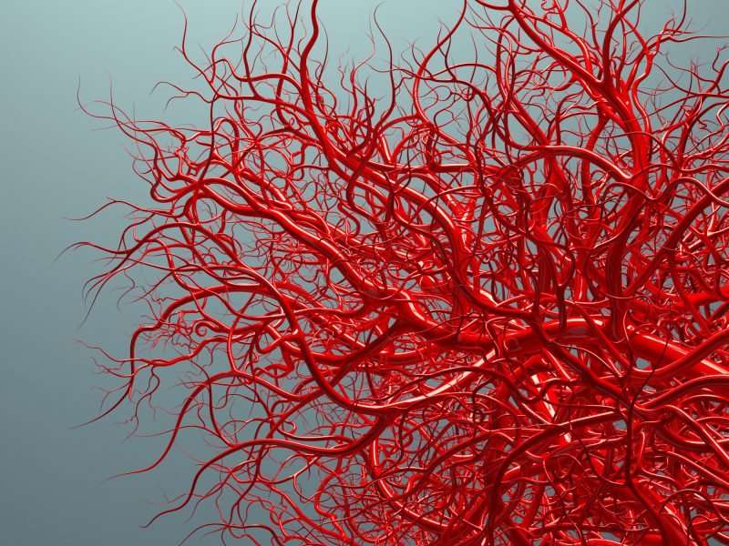 Make your blood vessels younger to avoid heart attack and ...