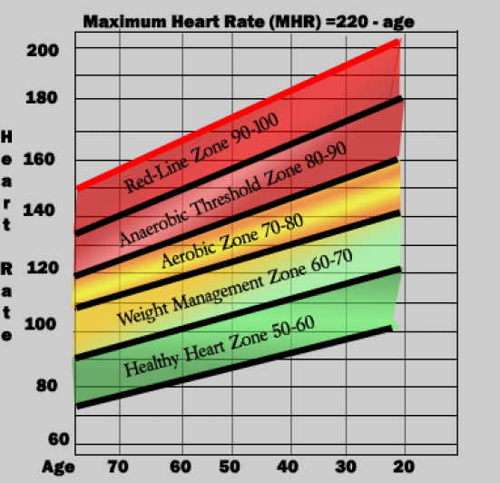Normal Heart Rate Chart