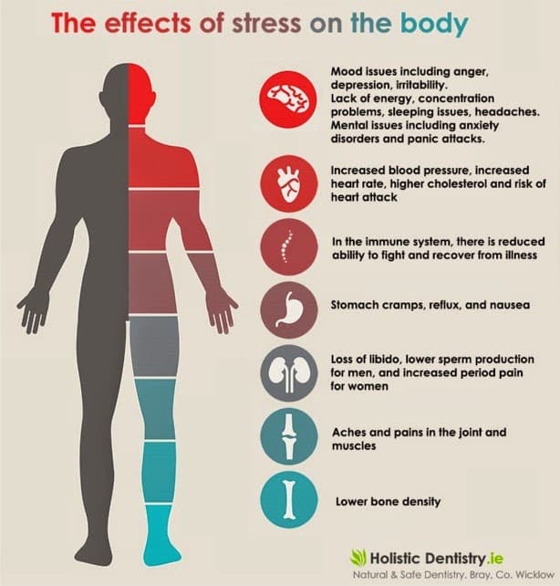 Stress: What it Does to Your Body