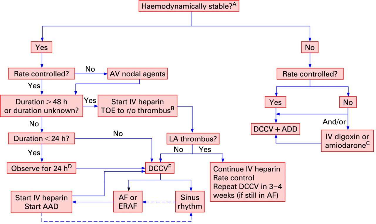 The management of atrial fibrillation after cardiac ...
