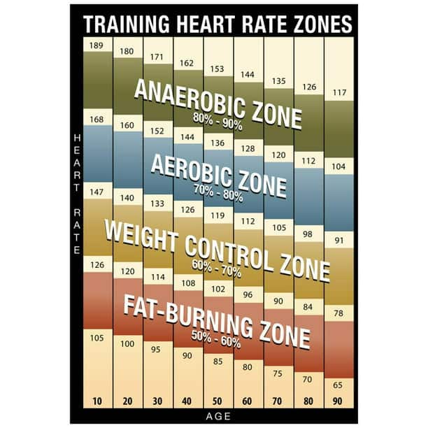 Training Heart Rate Zones Chart (Modern) Poster