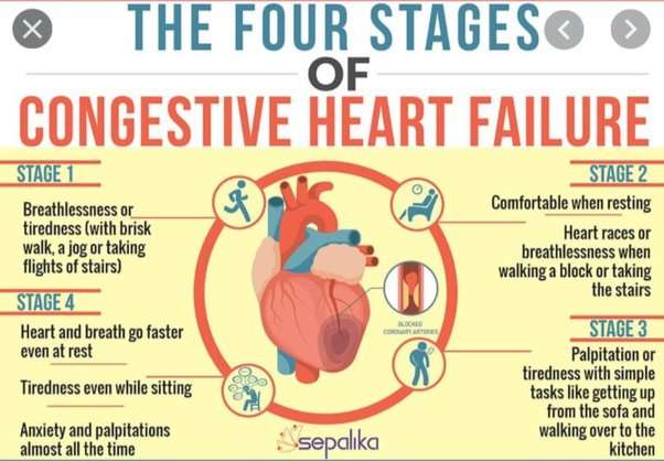 What, exactly, happens during a heart attack?