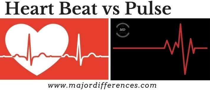 What is difference between pulse rate and heart rate ...
