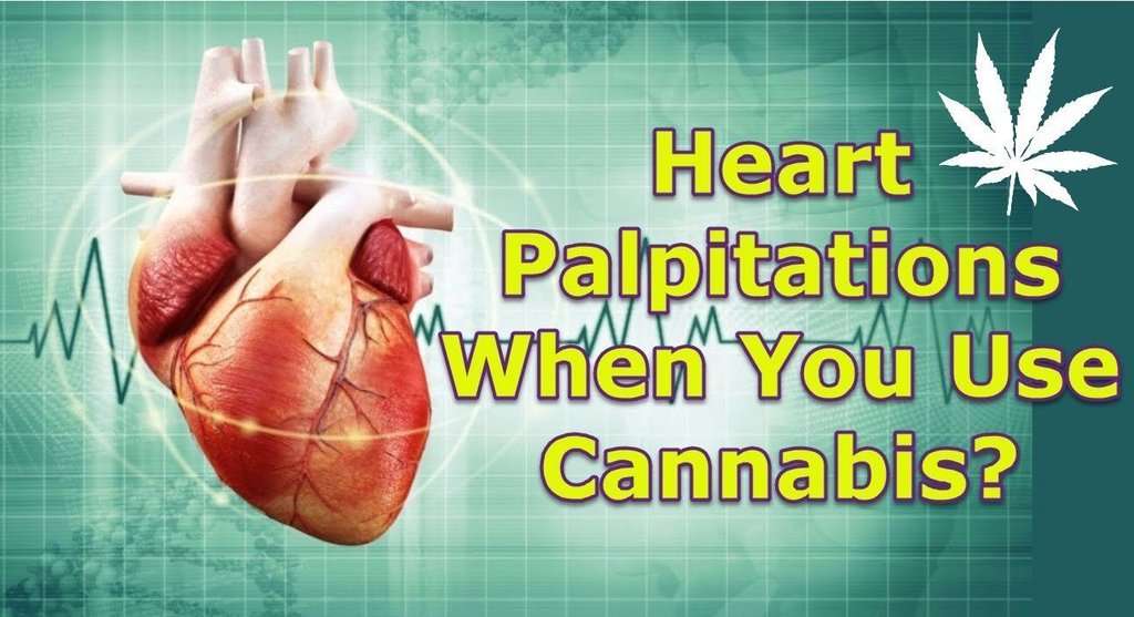 Why Does Weed Increase Your Heart Rate? Learn Here â NGU ...