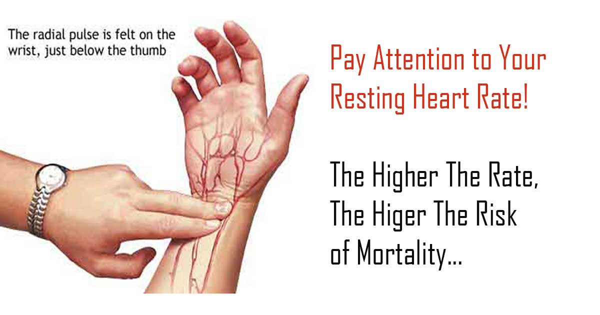 Why It Is Important To Pay Attention to Your Resting Heart ...